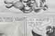 Original Drawing Of Igor The Medieval Signed By Tatopoulos Comic Book Plate