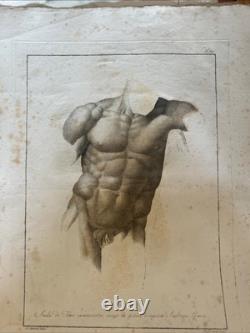 Princes of Drawing Cavati From Original Works of Raffaello 24 Plates circa 1800