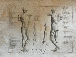 Princes of Drawing Cavati From Original Works of Raffaello 24 Plates circa 1800