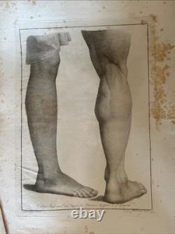 Princes of Drawing Cavati From Original Works of Raffaello 24 Plates circa 1800