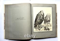 Raemaekers The War in 1916 Drawings No. 198 59 plates Devambez