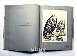 Raemaekers The War in 1916 Drawings No. 198 59 plates Devambez