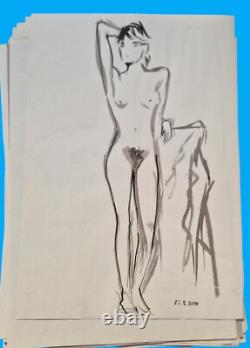 Sketches drafts nudes lot 51 boards some signed Paloma Maldonado
