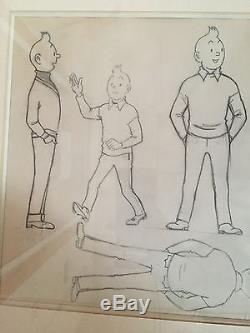 Studio Hergé Drawings Of Tintin Of Face, Profile, Back (circa 1969)