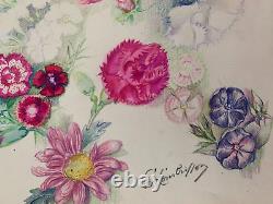 Ancienne Planche De Dessins Originaux Etudes De Fleurs Botaniques Signee (8)