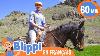 Blippi Visite Un Ranch Blippi En Fran Ais Vid Os Ducatives Pour Enfants