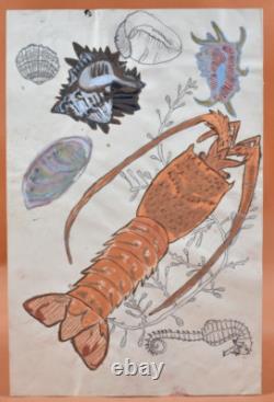 Dessin originaux XXème 6 planches Fruits de mer et crustacés
