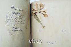Herbier 14 planches & 17 planches de dessins originaux