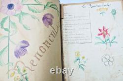 Herbier 14 planches & 17 planches de dessins originaux