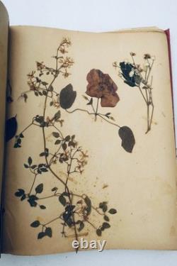 Herbier 14 planches & 17 planches de dessins originaux
