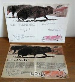 Planche Original dessins couleur aquarelle de RENÉ HAUSMAN publier dans Spirou