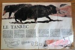 Planche Original dessins couleur aquarelle de RENÉ HAUSMAN publier dans Spirou