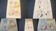 Planche Originale De Norbert Fersen Nestor Le Pingouin Vers 1975 + Cp Nestor