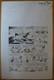Planches Dessin Original Bromure Oncle Picsou Et Les Oies D'or 1978 Barks Disney