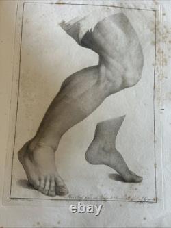 Princes Du Dessin Cavati Depuis Ouvres Originals De Raffaello 24 Planches 1800ca